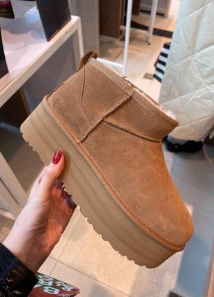 Ugg ultra mini угги1 фото