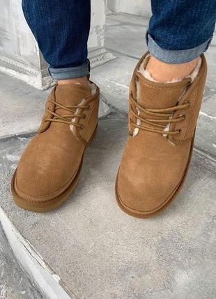 Чоловічі ugg ginger brown / smb2 фото