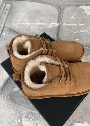 Чоловічі ugg ginger brown / smb4 фото