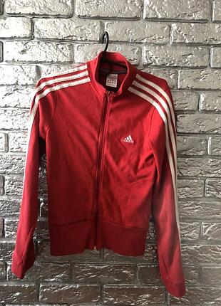 Кофта от адидас