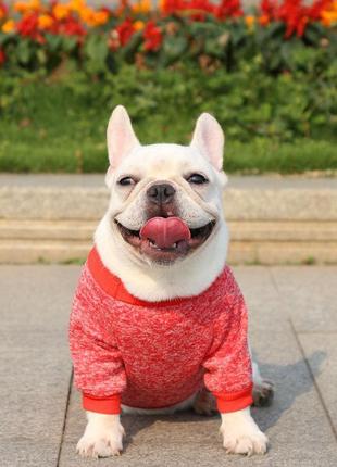 Модный мягкий свитер "классик" для кошек и собак, красный xl1 фото