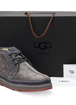 Мужские зимние ботинки (угги) ugg australia (david beckham) новинка 2019 41-44р.