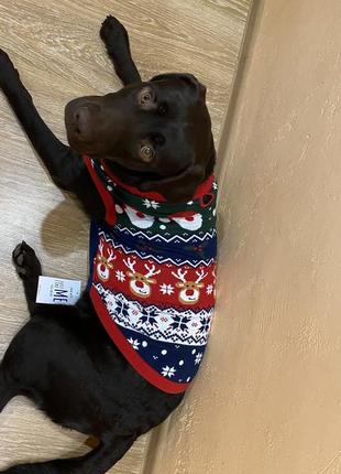 Продам новий новорічний светр для собаки