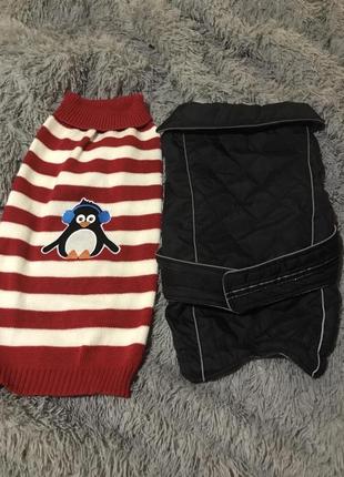 Одяг собаці. кофта накидка пайта собаке.