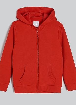 Толстовка на байці 110