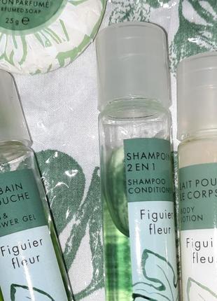 Набор для душа coffret fragonard parfumeur figuier fleur1 фото