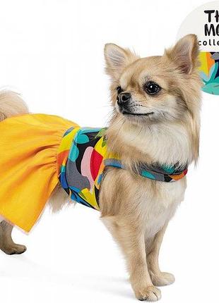 Платье для собак pet fashion "sun" xs-2 разноцветное