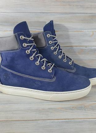 Royal blue best sale timberlands