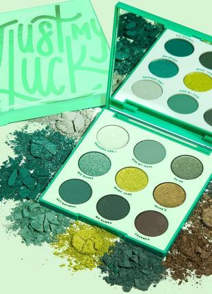 Палетка теней colourpop just my luck