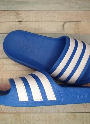 Шлепанцы adidas1 фото