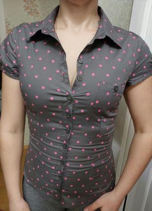 Сорочка сіра в горох