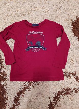 Кофтинка, лонгслив samson