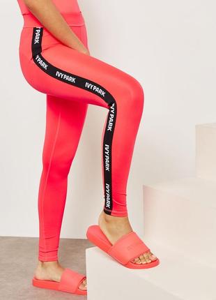 Спортивні компресійні штани брюки лосини легінси ivy park logo leggings1 фото