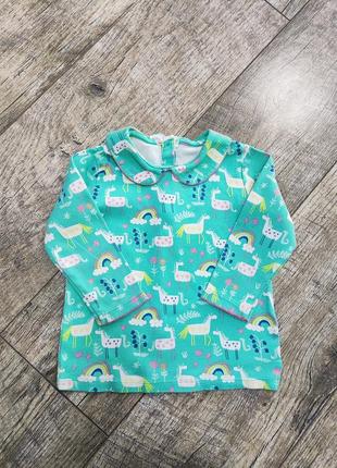 Кофта, реглан девочке, next, р. 80-86, 12-18мес.