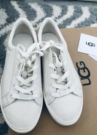 Кросівки ugg