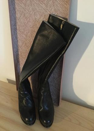 Чоботи брендові жіночі carlo pasolini