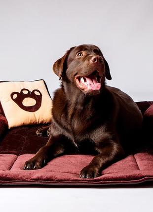 Лежак для собаки великий розкладний бордовий1 фото