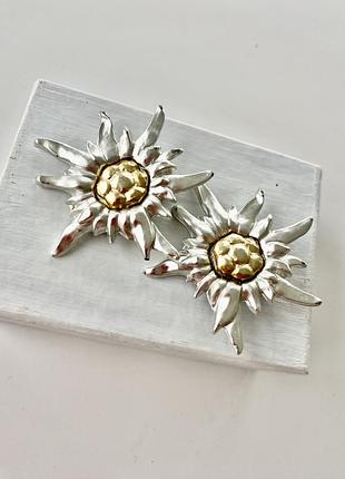 Кліпси вінтаж old money біжутерія вінтажні кліпси аксесуари