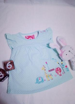 Футболка туника 3-6 мес, 62-68см. tu