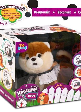 Собачка на повідку шпіц (співає пісні українською мовою, ходить, танцює) . подарункова коробка