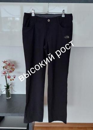 Спортивные брюки the nort face