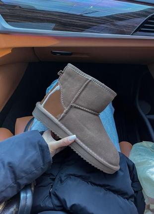 Жіночі ugg