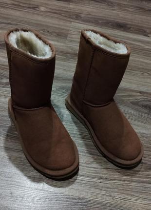 Жіночі уги ugg australia оригінал натуральна шкіра та шерсть2 фото