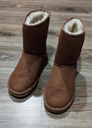 Женские угги ugg australia оригинал натуральная кожа и шерсть1 фото