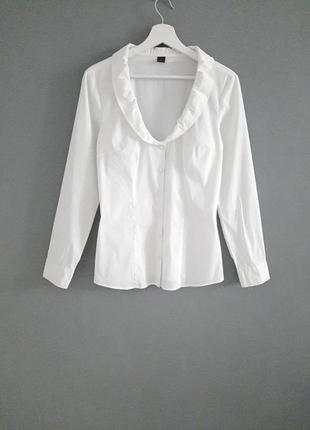 Базова елегантна біла блуза_#633 фото