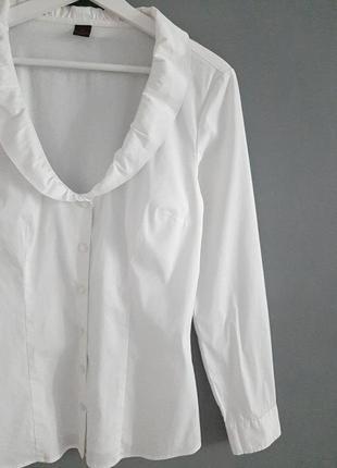 Базова елегантна біла блуза_#634 фото