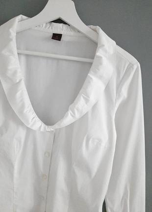 Базова елегантна біла блуза_#635 фото