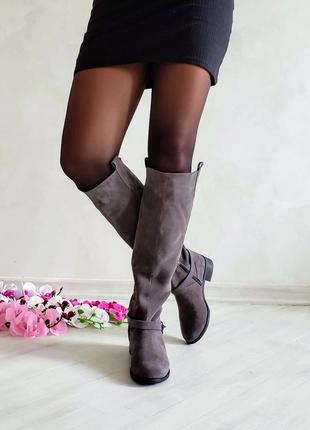 Чоботи італійська замша демі/зима