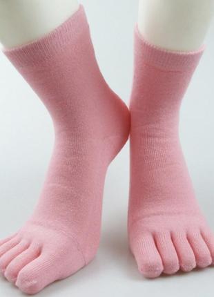 Теплые носки с пальцами радуга про faitolagi 37-40 розовый