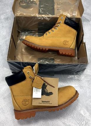 Зимние женские высокие горчичные ботинки timberland с мехом 🆕 тимберленд5 фото