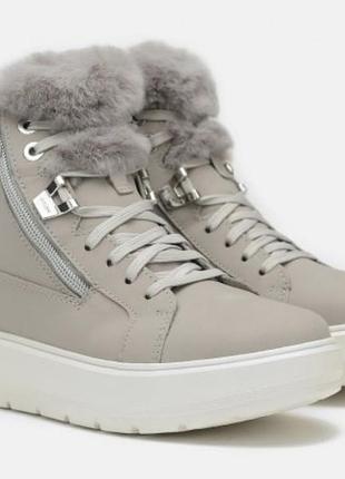 Зимові, жіночі, шкіряні черевики *geox* з amphibiox