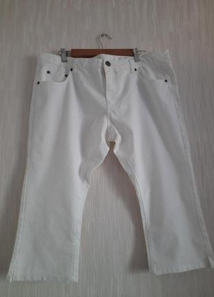 Бриджи новые 20/48