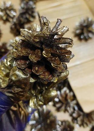 Шишки прикраси декор