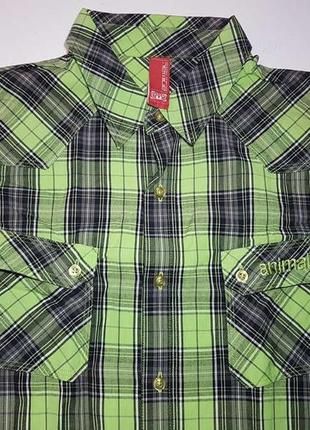 Теніска animal freeride, 100% бавовна, l. нова!