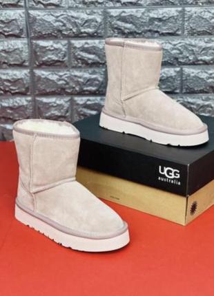 Чобітки ugg зимові