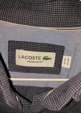 Мужская рубашка lacoste2 фото