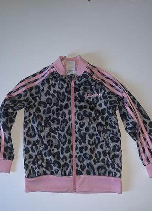 Кофта adidas