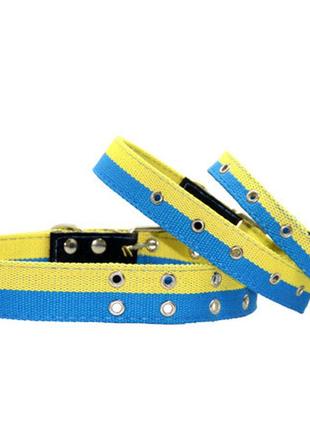 Брезентовий ошийник (одинарний), ширина 45 мм. довжина 34-69 см. синій