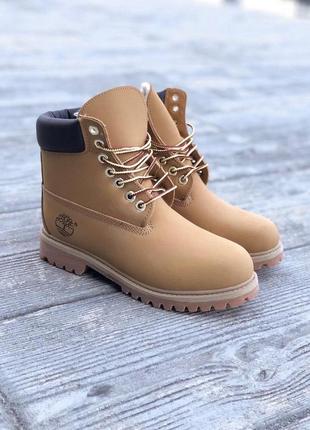 Жіночі черевики timberland ginger 2 / smb6 фото