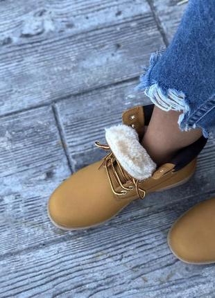 Жіночі черевики timberland ginger 2 / smb7 фото