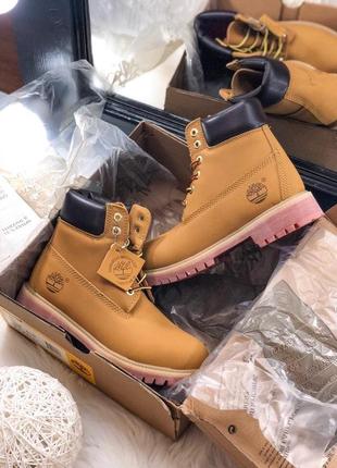 Жіночі черевики timberland ginger / smb6 фото