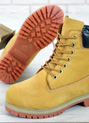 Жіночі черевики timberland ginger / smb8 фото