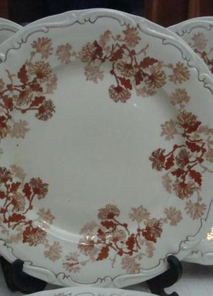 Красивые старинные тарелки - 23.5 см фарфор alba iulia румыния №9212 фото