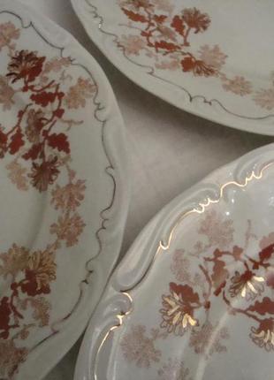 Красивые старинные тарелки - 23.5 см фарфор alba iulia румыния №9213 фото
