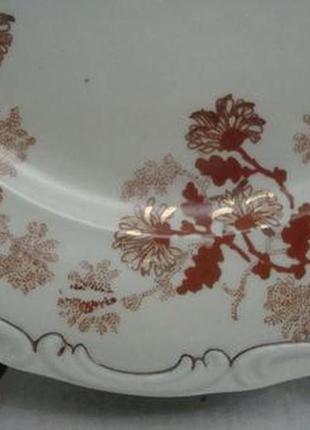 Красивые старинные тарелки - 23.5 см фарфор alba iulia румыния №9216 фото