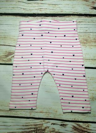 Штани лосини 2